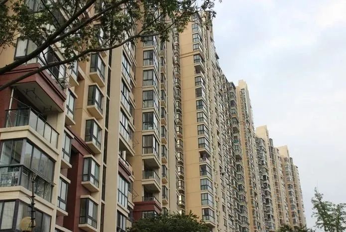 1677487860441526.jpg 3.jpg