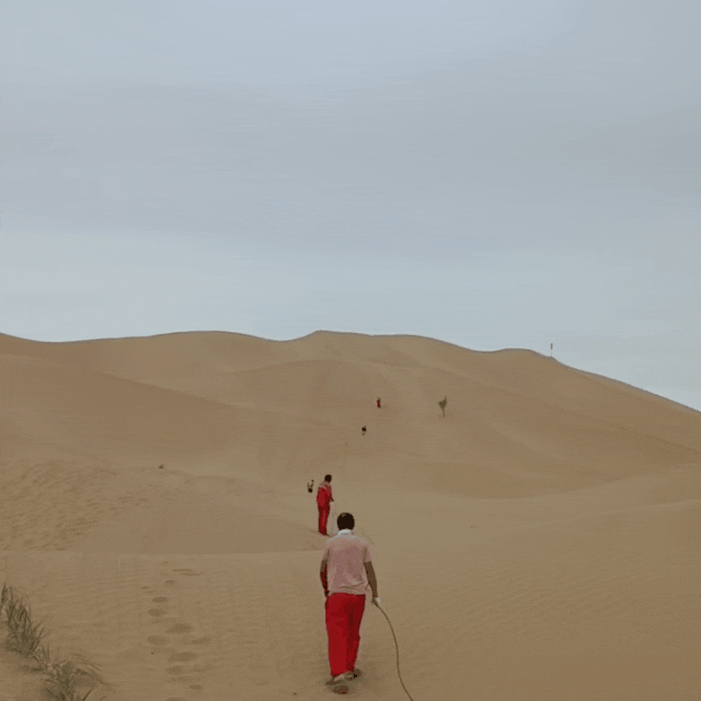 1690256431206872.gif 13.gif