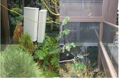 1693807778964299.png 7.png